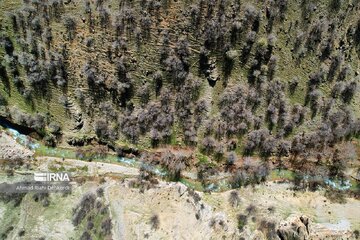 La primavera en el pueblo de Mashayej