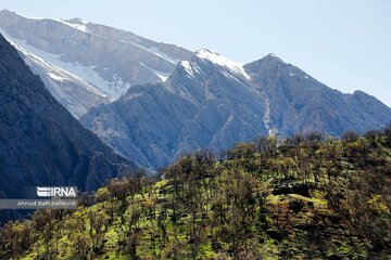 La primavera en el pueblo de Mashayej