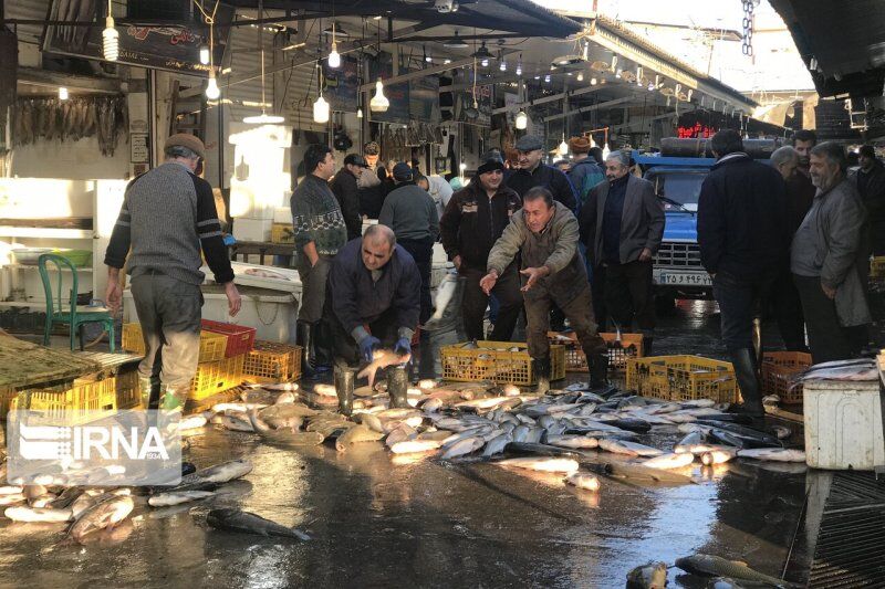 بازار داغ فروش ماهیان دریایی مازندران در آستانه نوروز