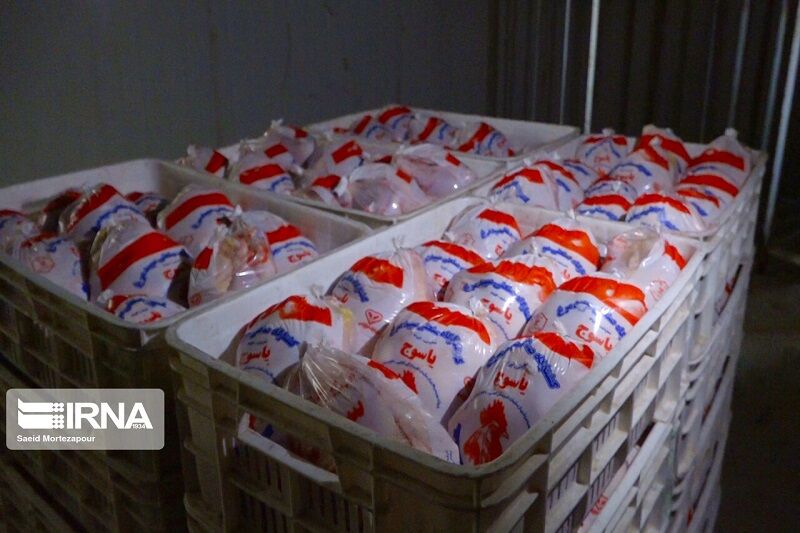 تعاون روستایی خاش ۹۴ تن گوشت مرغ توزیع کرد