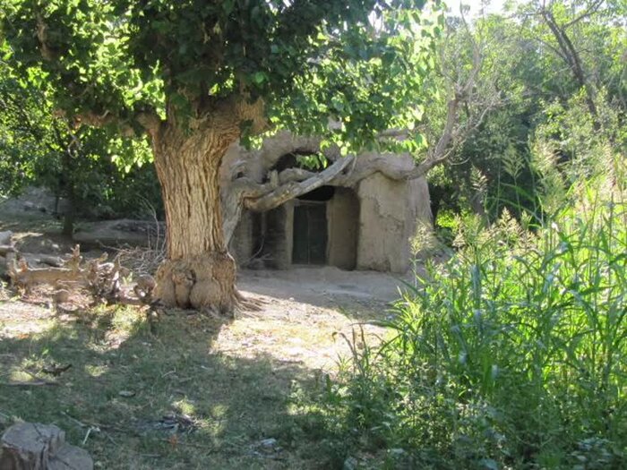 آققلعه جوین خراسان رضوی، شاهکار معماری دوره ایلخانی