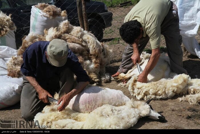 نوروز و جشن‌های شادی آفرین در سرزمین اساطیری 