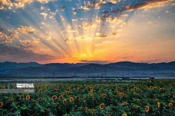 Tourisme en Iran : la province de Semnān