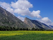 طبیعت چشم نواز دره شهر، گردشگران را فرا می خواند