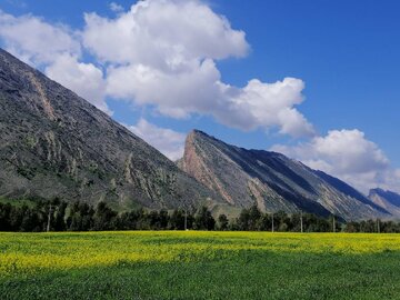 طبیعت چشم نواز دره شهر، گردشگران را فرا می خواند