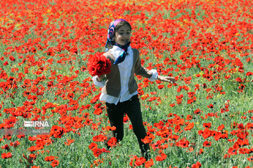 Tourisme en Iran : la province d’Ardabil