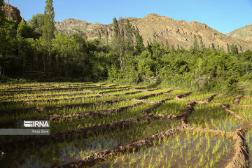 Tourisme en Iran : la province d’Ardabil