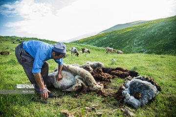 Tourisme en Iran : la province d’Ardabil