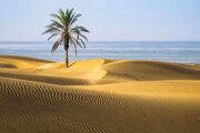 دَرَک بلوچستان؛ روستای گردشگری با چهار نوع ساحل بکر و زیبا