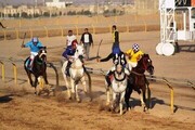 مسابقات اسب دوانی کورس بهاره کشور در یزد آغاز شد