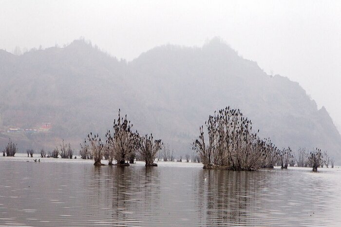 بلاتکلیفی ۱۵ ساله تالاب استیل آستارا در فرآیندهای اداری