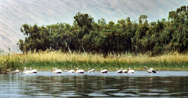 زیباترین دریاچههای ایران برای سفر در تمام فصلها