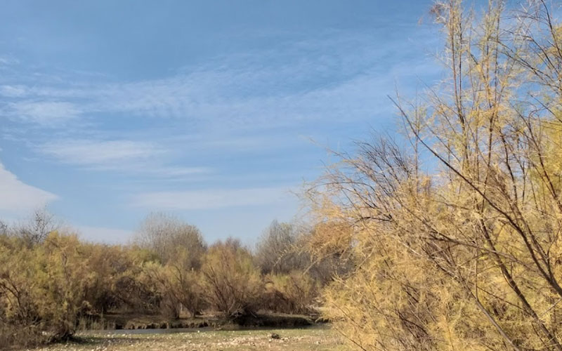 اطراف اهواز کجا بریم؟