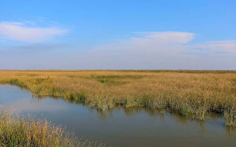 اطراف اهواز کجا بریم؟