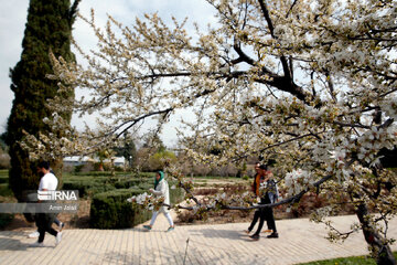 National Botanical Garden of Iran in Tehran