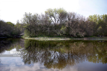 National Botanical Garden of Iran in Tehran