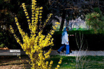 National Botanical Garden of Iran in Tehran