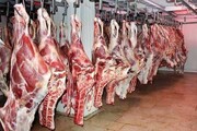 ۱۰ تن گوشت قاچاق در شهرستان فردوس کشف شد