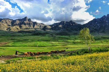 دشت سبز قروه، نوازشگر چشمان مسافران