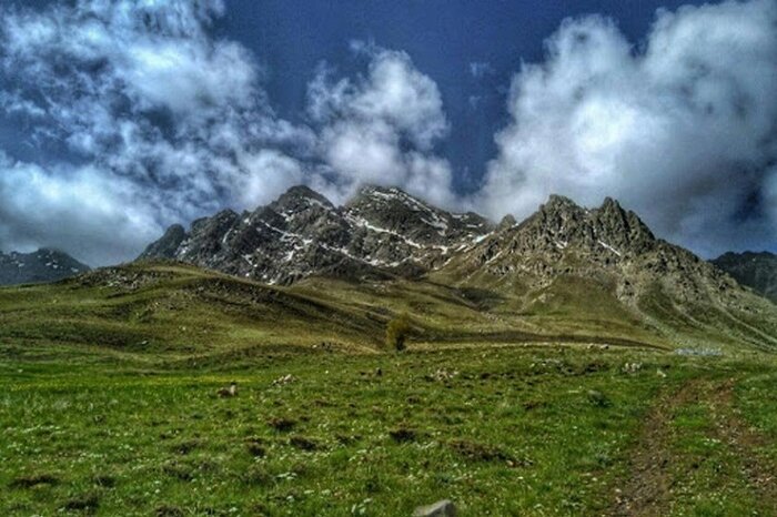 دشت سبز قروه، نوازشگر چشمان مسافران