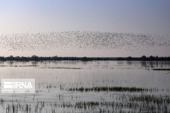 شهر جهانی شوش نگین تمدن ایران