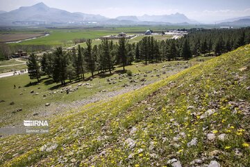 Le complexe archéologique de Bistoun dans la province de Kermânchâh, à l'ouest de l’Iran