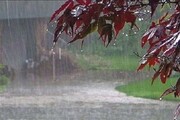  هواشناسی: بارش پراکنده باران در هرمزگان تا شب تداوم خواهد داشت
