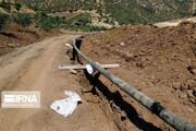 ۱۸۹ واحد تولیدی در کردستان به شبکه سراسری گاز متصل شد
