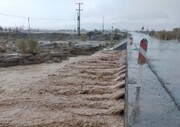 جاری شدن سیلاب در خراسان جنوبی خسارت برجا گذاشت