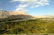 فرماندار: سند مالکیت ۱۰۰ درصد اراضی ملی و منابع طبیعی هرسین صادر شد
