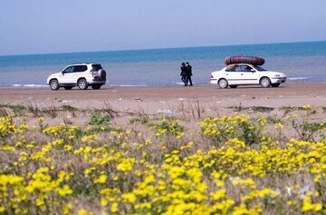 ورود خودرو به سواحل مازندران ممنوع شد