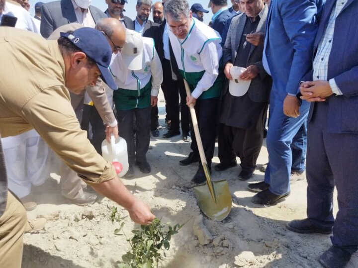 پایان نهالکاری در کانون بحرانی فرسایش بادی چابهار با حضور وزیر جهاد کشاورزی