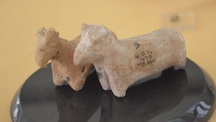 سفر به قلب تاریخ؛ هرسین سکونتگاه انسانهای نخستین