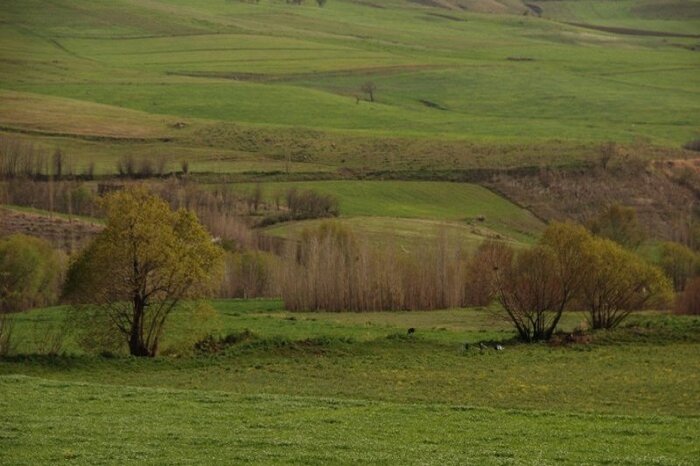 دهگلان، دشت‌هایی سبز با  تپه‌هایی تاریخی