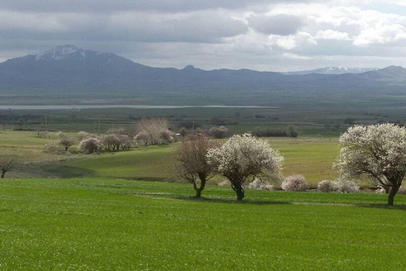 دهگلان، دشت‌هایی سبز با  تپه‌هایی تاریخی