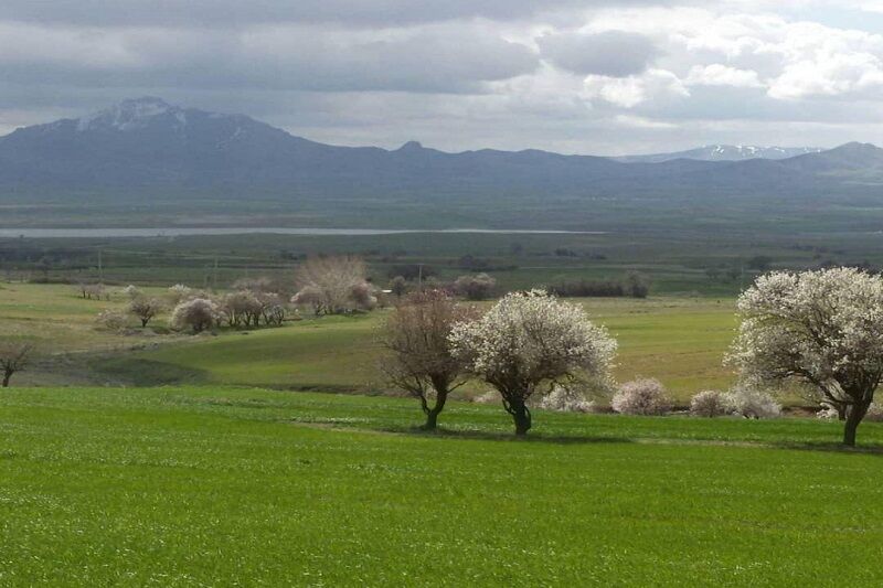 دهگلان، دشتهایی سبز با تپههایی تاریخی - ایرنا