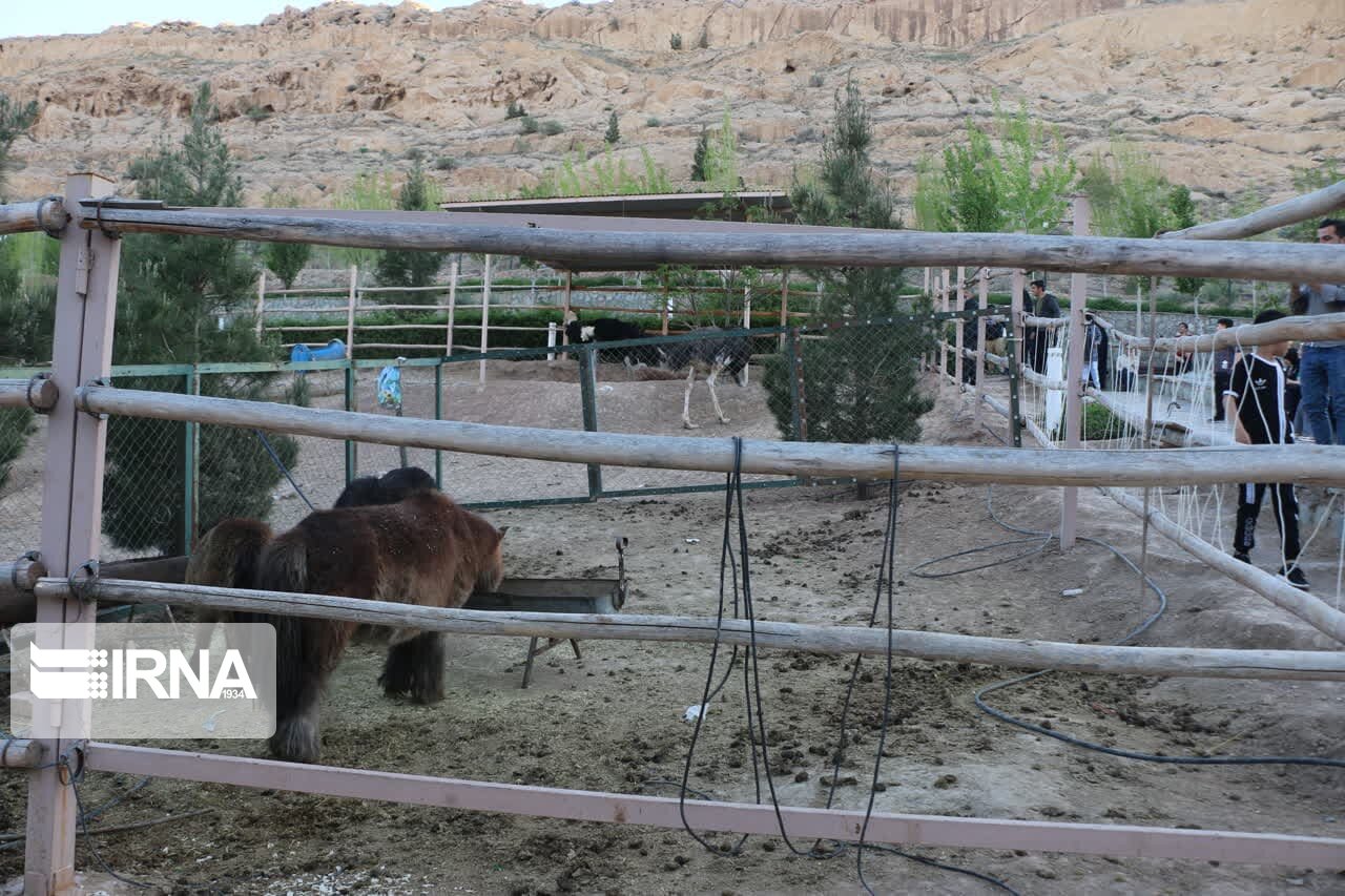 گزارش تصویری / باغ پرندگان قم