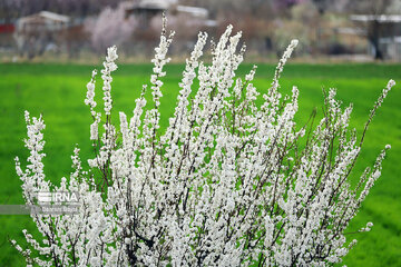 La nature splendide de la province de Zandjan