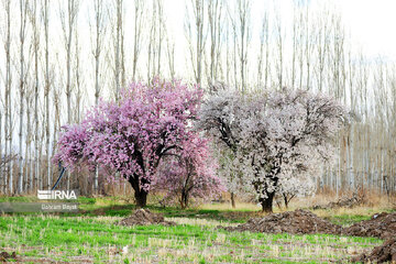 La nature splendide de la province de Zandjan