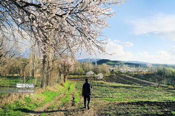 La nature splendide de la province de Zandjan