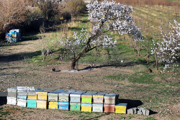 La nature splendide de la province de Zandjan