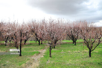 La nature splendide de la province de Zandjan