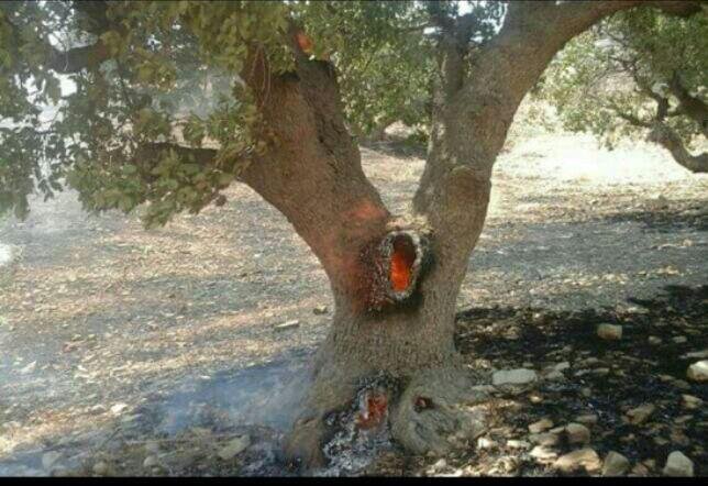 سیزده بدر رمضانی و دست دوستی به جای جنگ با طبیعت/سیزده بدر یا روز مرگ طبیعت