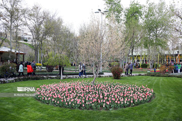 La fête des tulipes à Karadj