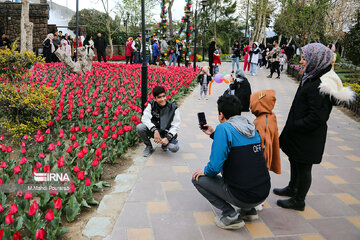 La fête des tulipes à Karadj