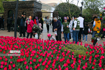 La fête des tulipes à Karadj