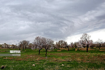 Le printemps dans les jardins traditionnels de Qazvin