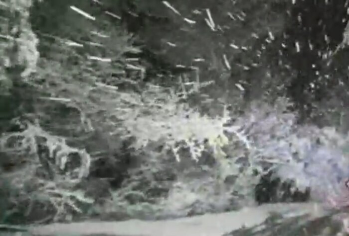 سرمای بهاره بیش از ۴۰ هزار میلیارد ریال به باغات مشگین شهر خسارت وارد کرد