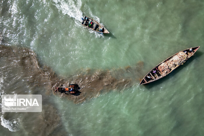 صید ماهیان استخوانی در دریای مازندران تمدید شد