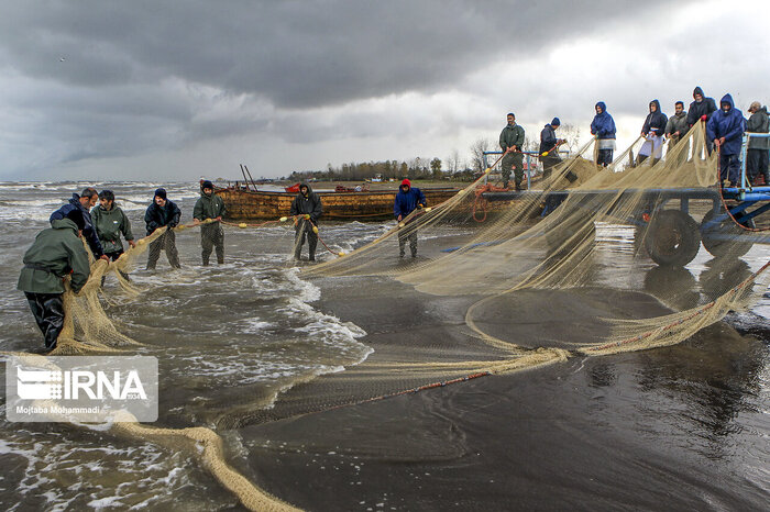 صید ماهیان استخوانی در دریای مازندران تمدید شد